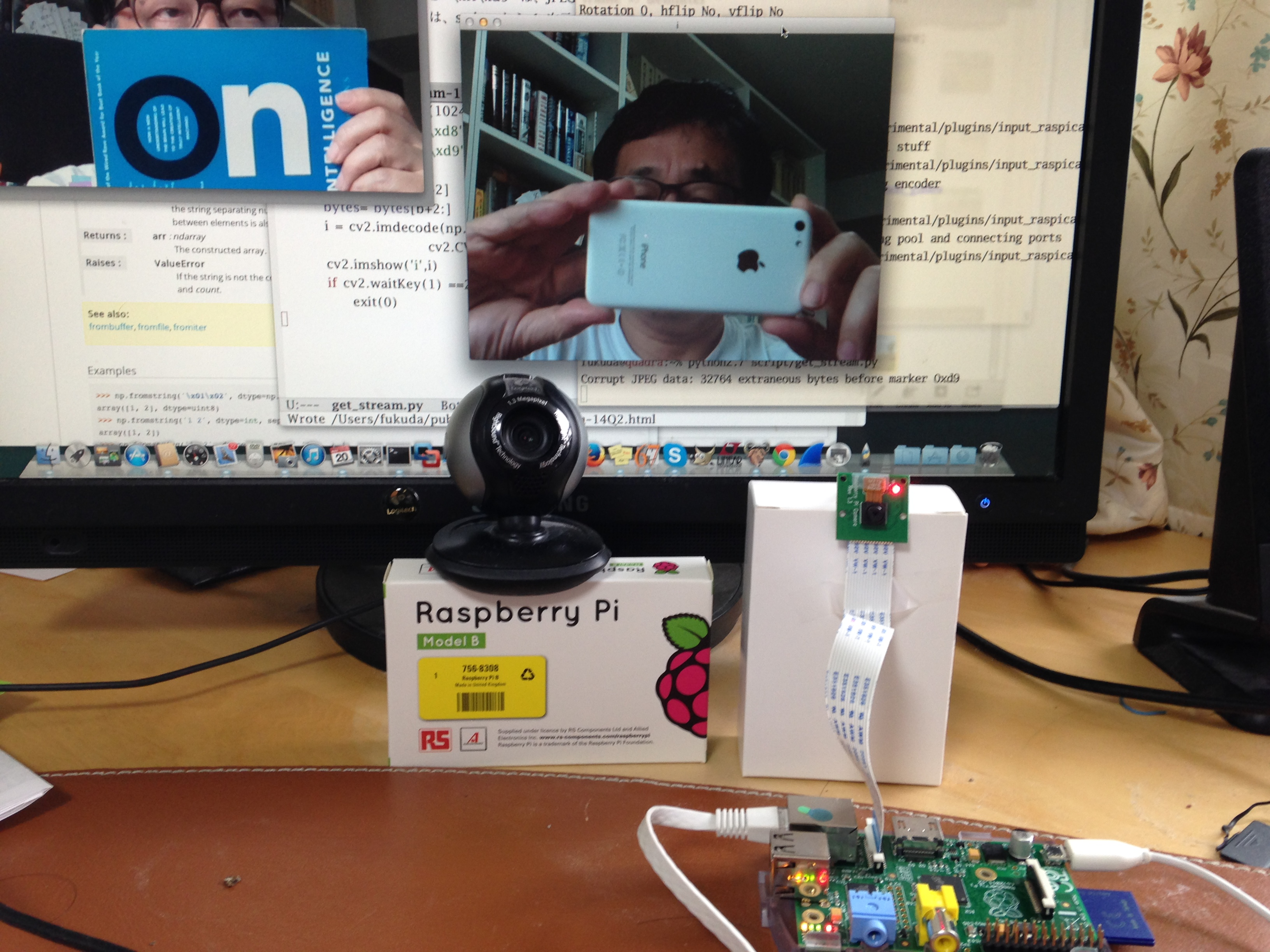 Logitech WebCam and Raspi Camera